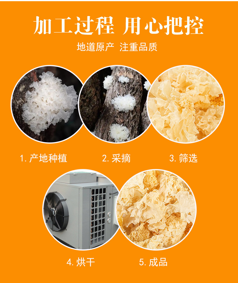 Dried White Tremella (Tremella fuciformis) — Gutian Snow Fungus, Soft & Gelatinous, 500g Bulk preparation