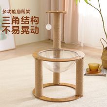 ؈����̫��œ��؈�Cһ�w��̨��ĥ��ץ��ռ��С����؈�����؈�e��