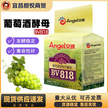 �������Ѿƻ��Ըɽ�ĸBV818 ����ˮ�������l�̈́����m�،�����500g