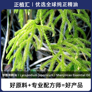 ��ֲ�R ���ݾ��� ʯ���� �в�șη� ���yƷԭ��