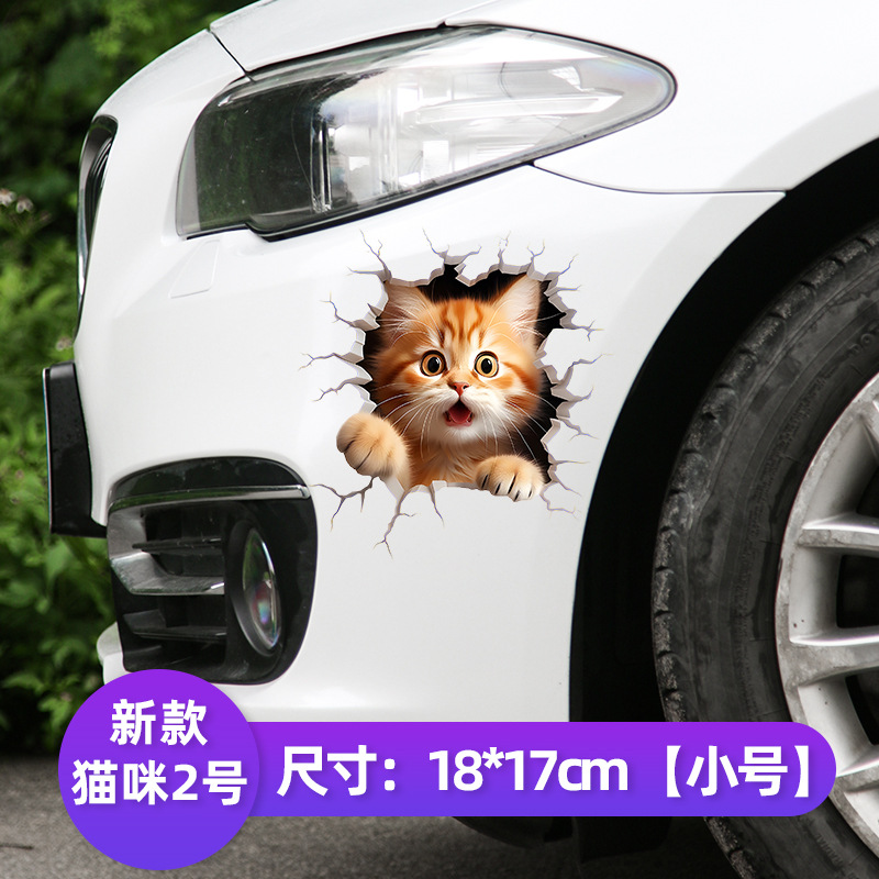 뉴캣 2호 [18cm] 3D 하이트루