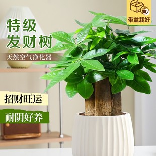 �����ļ�����lؔ���҃Ⱥ��ͶY�ؼ��Gֲ�B��С������ֲؔ���k����