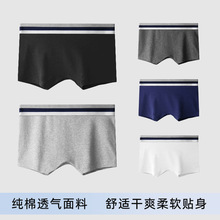 女士内裤女生纯棉平角四角裤运动宽边打底2025新款大码安全短裤头