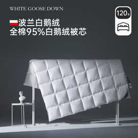 波兰95%白鹅绒被芯120支纯棉全棉A类春秋季冬天羽绒被子酒店民宿