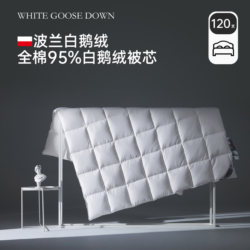 Polish 95% White Goose down Quilt Core 120 Count Pure Cotton Type a Spring, Autum and Winter down Quilt Hotel B&B