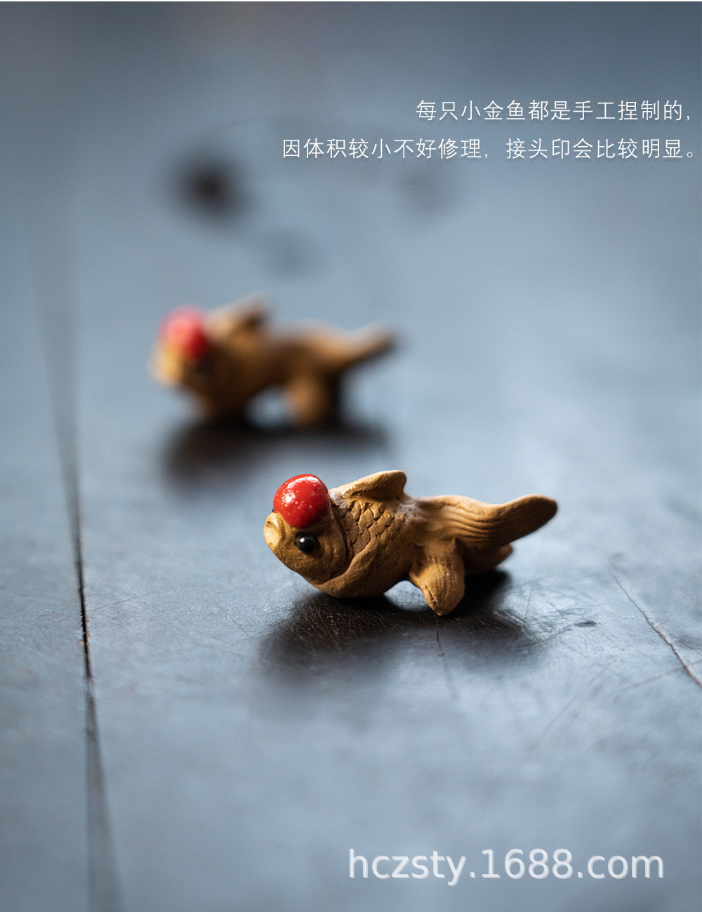 小金鱼20220714 (14).jpg