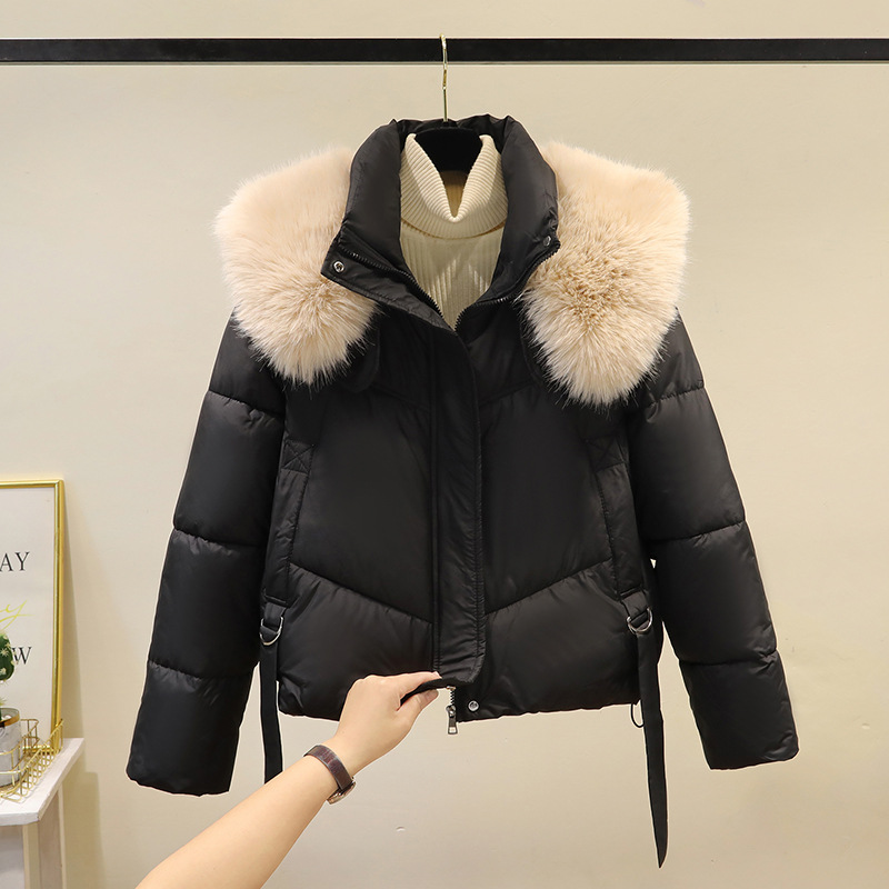 Invierno de 2025, ropa de algodón corta de moda coreana, abrigo de algodón de cuello vertical, abrigo de mujer grueso, cálido y suelto.
