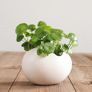 Simple Black and White Ceramic Eggshell-Shaped Flower Ornaments, Non-Porous Hydroponic Flower Pots, Snowflake Glazed Copper Coins, Grass and Pothos Flower Ornaments