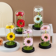 向日葵玻璃灯罩永生花玫瑰花金箔花情人节跨境礼物生日跨境亚马逊