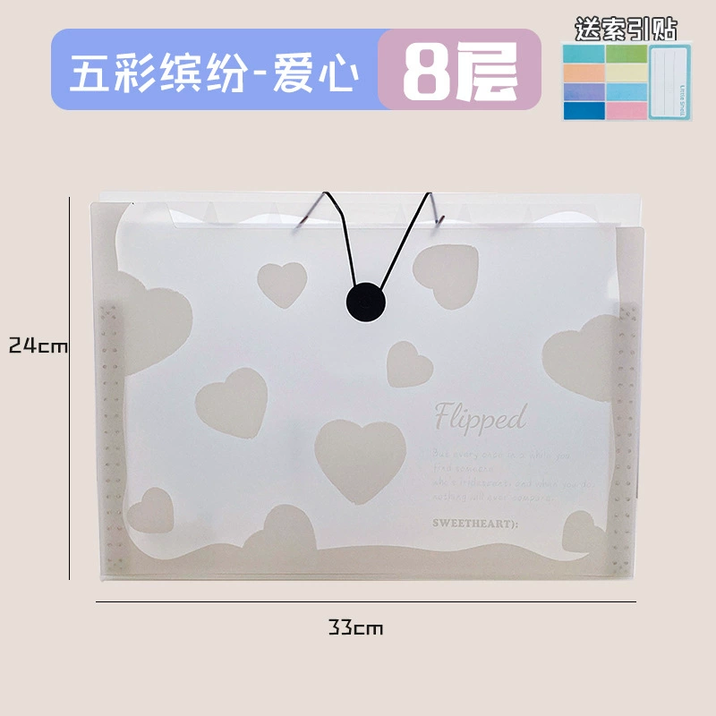 Capacious organ, multilayer bag for documents, storage system, folder for folders