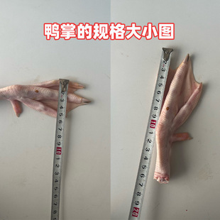 ����S�����]������צ���r�����צ���������_�uζ����ʳ�����l��