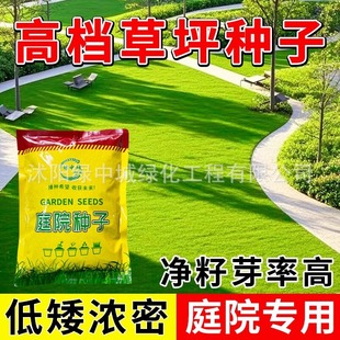 Lawn Grass Seeds, Ryegrass, Carpet Grass, Bermudagrass, Dwarf, Evergreen, Courtyard Greening, Slope Protection Turf Seeds, All Seasons
