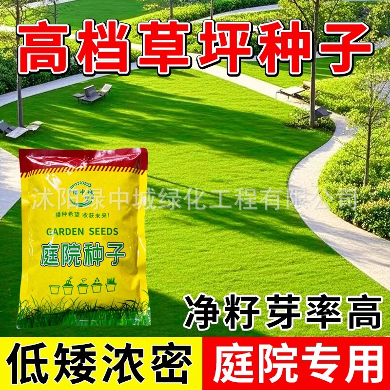 草坪草籽黑麦草地毯草狗牙根矮生四季常青庭院绿化护坡草皮种子孑