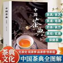 中国茶典全图解 茶叶百科全书茶文化大典藏茶艺茶道知识入门