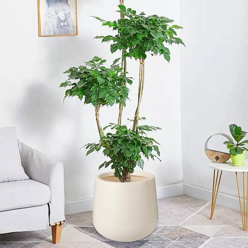 大口径圆形塑料花盆加厚吹塑仿水泥大型绿植盆栽盆客厅花卉装饰盆