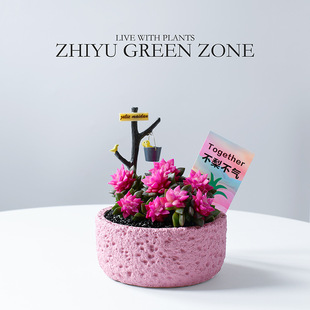 ѩ֮ɶֲɫ̨B־Gֲ҃ȻԶY