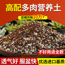 多肉颗粒土用营养土植物泥炭种植土壤肉肉叶插小苗老桩颗粒花土