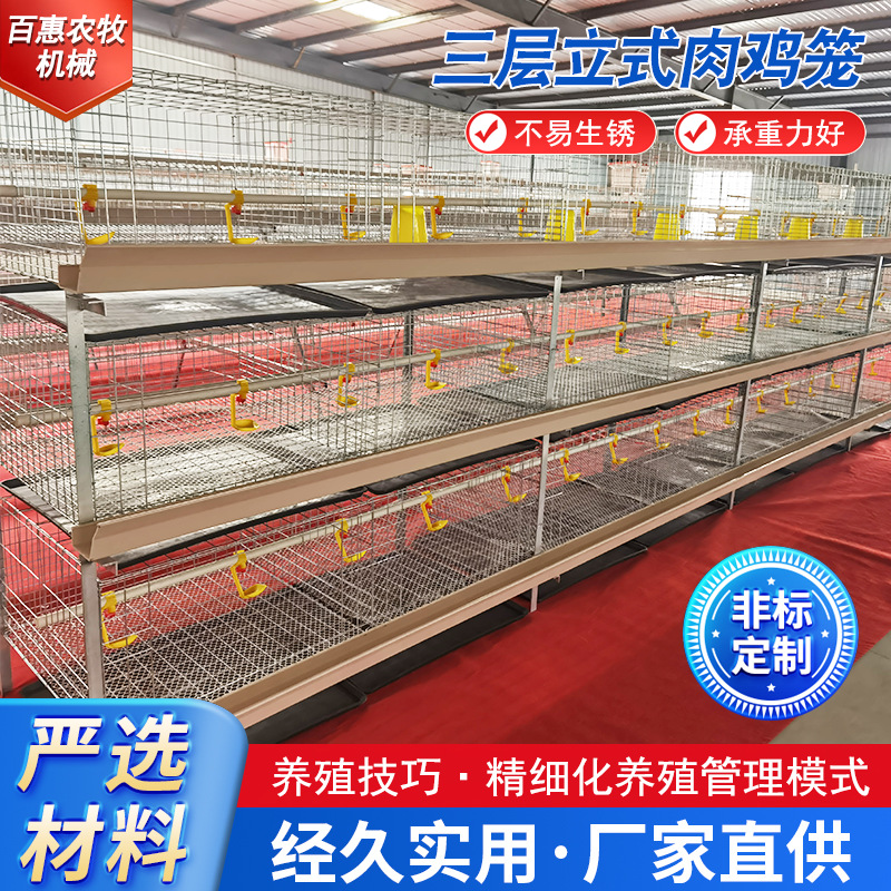 三层立式肉鸡笼养殖养鸡设备肉鸡笼防锈肉鸡笼热镀锌鸡笼厂家供应