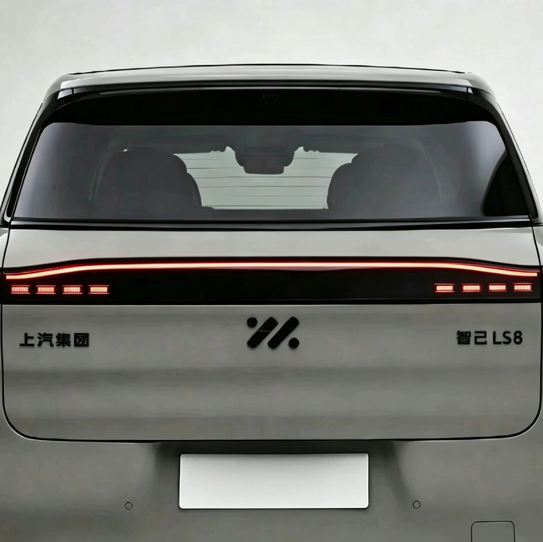 Suitable for Zhiji LS8 LS9 front and rear car emblems, Black Warrior modification upgrade personalized car emblem decorative stickers