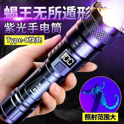 Big customer wholesale strong UV fənərlər - purple-light-ws-66-digital-flashlight-type-c-line-color-box-packaging