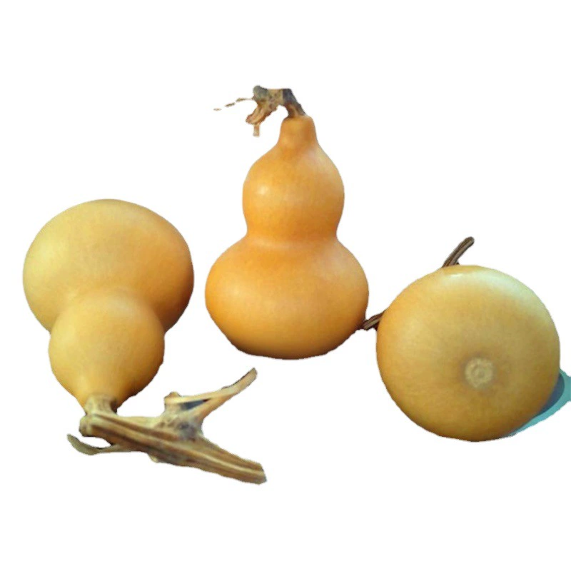 Фабрика прямая натуральная Тыква Американский Ручной Твист Тыква Вэнь играть мелкую тыкву тыквы ремесла оптом