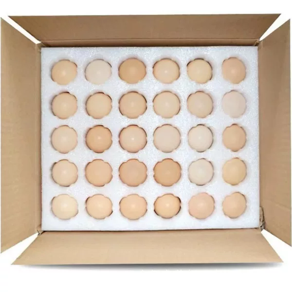 Factory Direct supply epe Pearl cotton egg holder shockproof drop-resistant positioning buffer express packaging