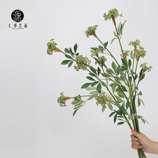 ���Sֱ�N ���~ѩ��֦���й��L֦�廨��� �й��L���滨ֲ���쾰��