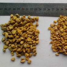 黄金石   金色水洗石 水磨石 水刷石 彩色石子 抿石子 洗米石