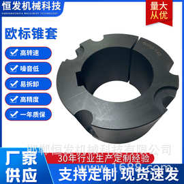 欧标锥套皮带轮欧标HT250铸铁锥套现货易拆卸机械设备电机轮加工
