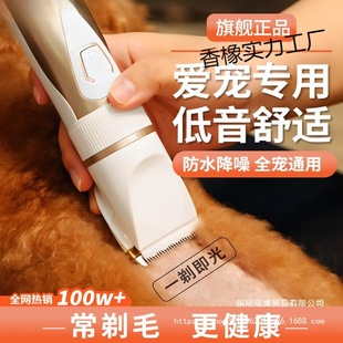 ������ë��������Ƽ�؈���깷ë���_ë�������ë����ëĬ�J�