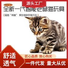 智能逗猫老鼠仿真猫玩具自嗨解闷电动发声小老鼠跨境充电式摆