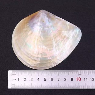 ��Ȼ�S��ؐ���ؐ�u������ؐ�����Ʒ���յ����쾰��������