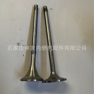 In-stock supply of Scania DC9 intake valve 1854798 and exhaust valve 1781847