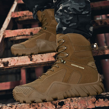 ���gѥ2025�羳��a�ߎ�܊ѥ�Б����ɽѥ�S��ֱ�NɳĮѥһ�����l