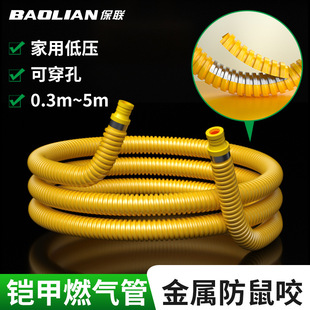 Gas Pipe Gas Pipe Liquefied Gas Natural Gas Household Metal Explosion-proof Stainless Steel Corrugated Pipe Connection Hose