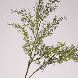 ����ֲ��Ϧ�F�L֦��÷�~�҃��쾰�����bGֲ��c���Ʒ�ٲ����l