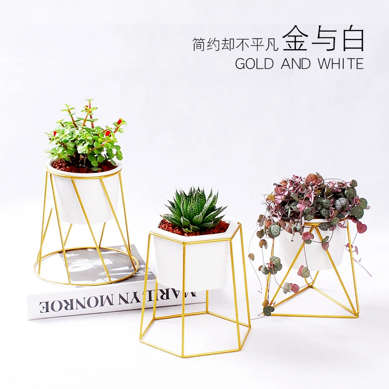 Простой и модный мясистый цветочный горшок в европейском стиле металлический держатель для цветов керамический цветочный горшок в скандинавском стиле зеленое растение Креативный цветочный горшок