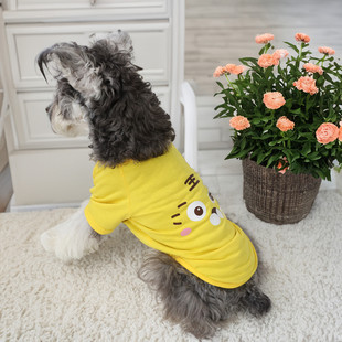 �¿�С��T���W�tins�����·������b���p���ϻ�����͸��̩�ϱ���С