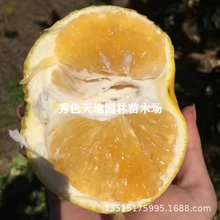 ̨���S���������������ڼ޽������� �uβ�����ֹ����箔��Y��