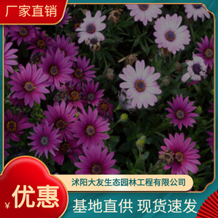 �ݻ����l�f�۾��޸��� ��ɫ�f�۾� �̨������ �Ϸ��f�۾�
