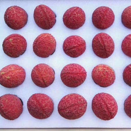 漳州厂家直销泉州永泰龙海水果内衫防震物流内托包装EPE珍珠棉