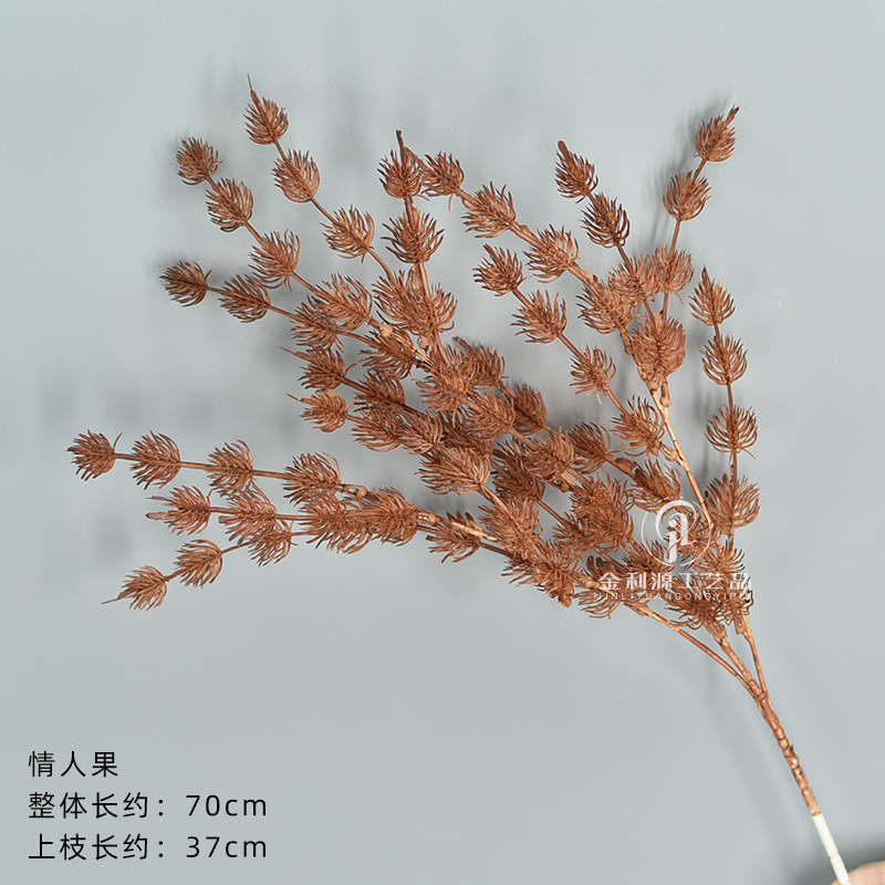 情人果 咖色
