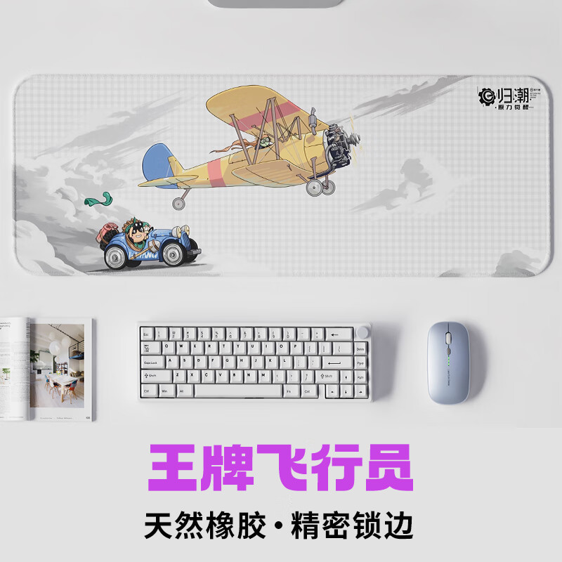 에이스 파일럿 800*300*2mm