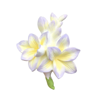Car Perfume Aromatherapy, Car Vent Decoration Gardenia High-End