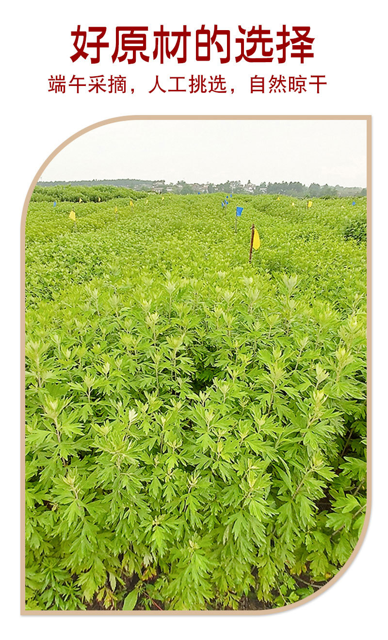 Three-Year-Old Mugwort Powder, Moxa Velvet, Sachet Filling Material, Moxa Velvet Powder, Mugwort Leaf Powder for Bathing and Foot Soaking detail image 3