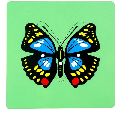 Brainteaser Montessori, teaching aids, professional smart toy