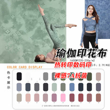 热转移数码印花面料涤高弹日本秋冬薄款印花高弹力九分鲨鱼裤女外