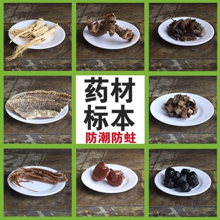ģ�͘˱�����չ�d�������Ʒ�˅����߲���И˱��[�O�̾�����̫��