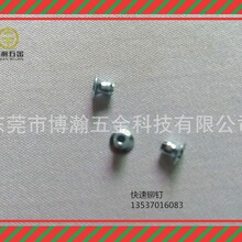 1810-06480���ٳ�ͷ��í��|��������