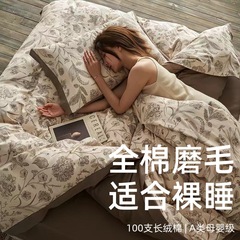 轻奢全棉100支长绒棉加厚磨毛四件套 秋冬纯棉被套三件套床上用品
